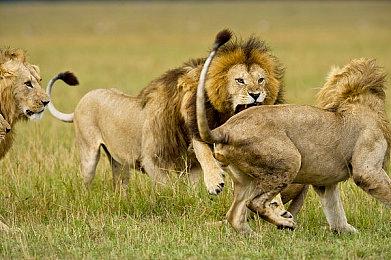 回合制RPG《光与影：33号远征队》大量新细节公布